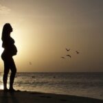 Chiropractic for pregnancy dunedin