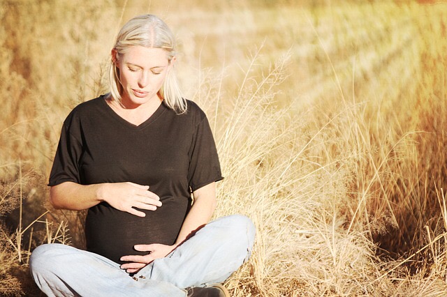 Pregnancy chiropractor dunedin